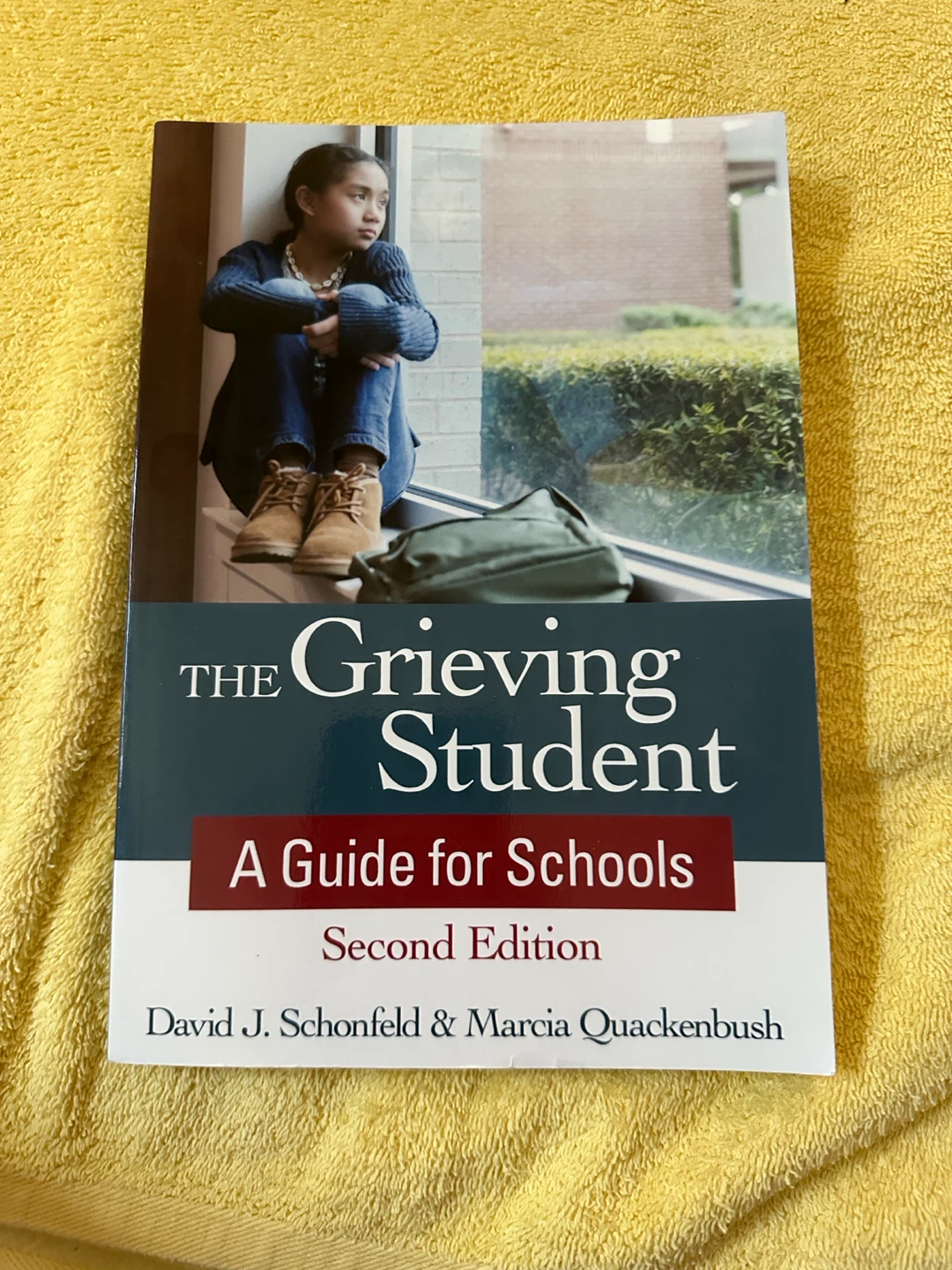The Grieving Student: A Guide for Schools (Second Edition)