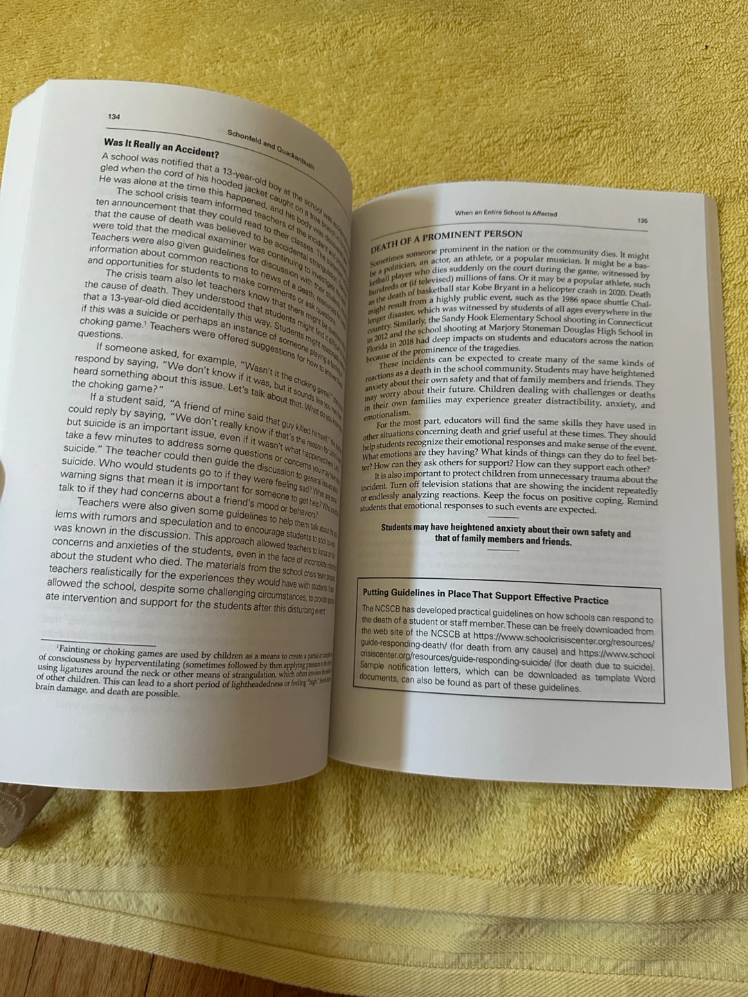 The Grieving Student: A Guide for Schools (Second Edition) - photo 3