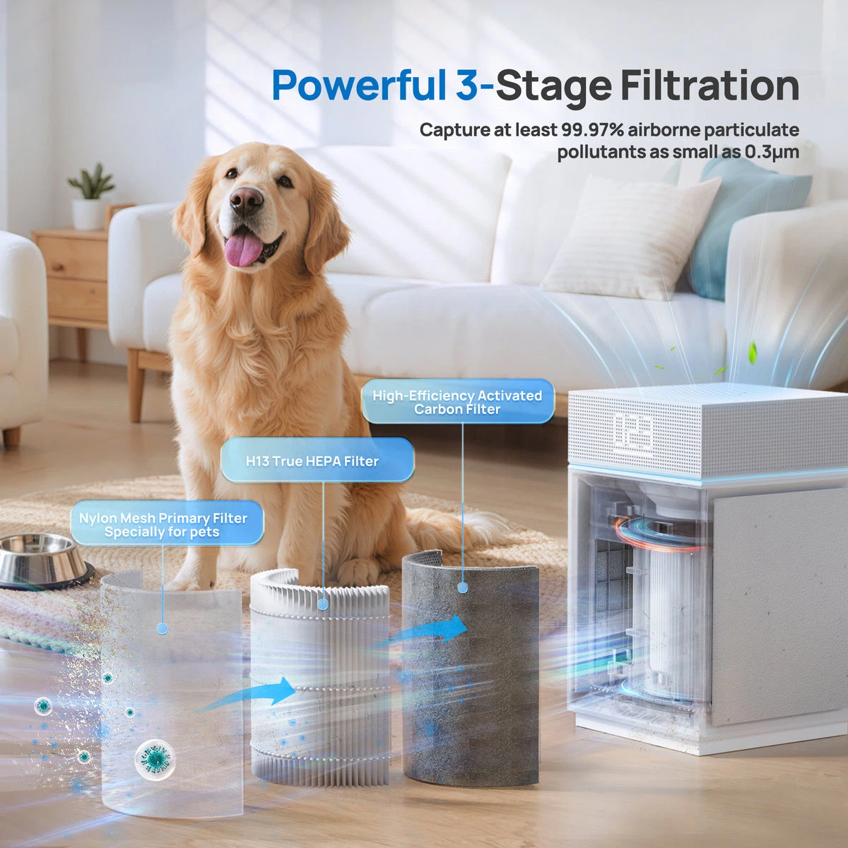 Pureborne PM6866 Air Purifier - photo 4