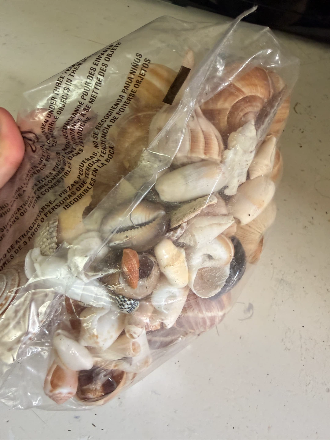 Bag of Assorted Snail shells and sea shells - photo 5