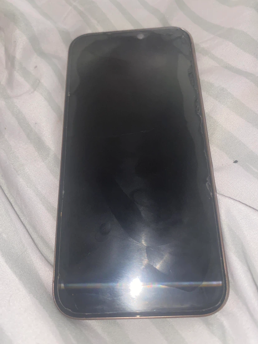 Apple iPhone 13 Pro - photo 4