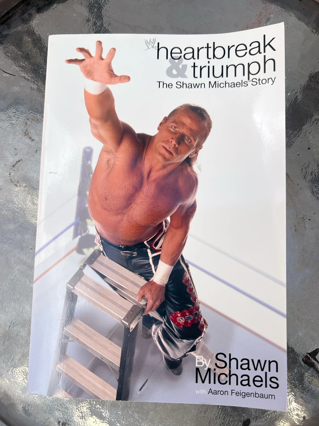 Heartbreak & Triumph: The Shawn Michaels Story