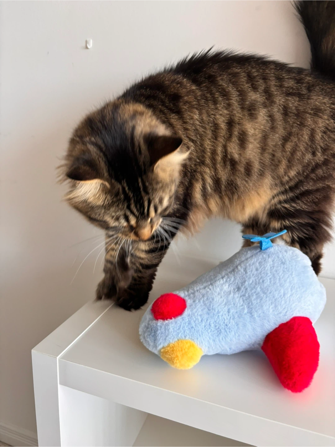 Plush Airplane Toy