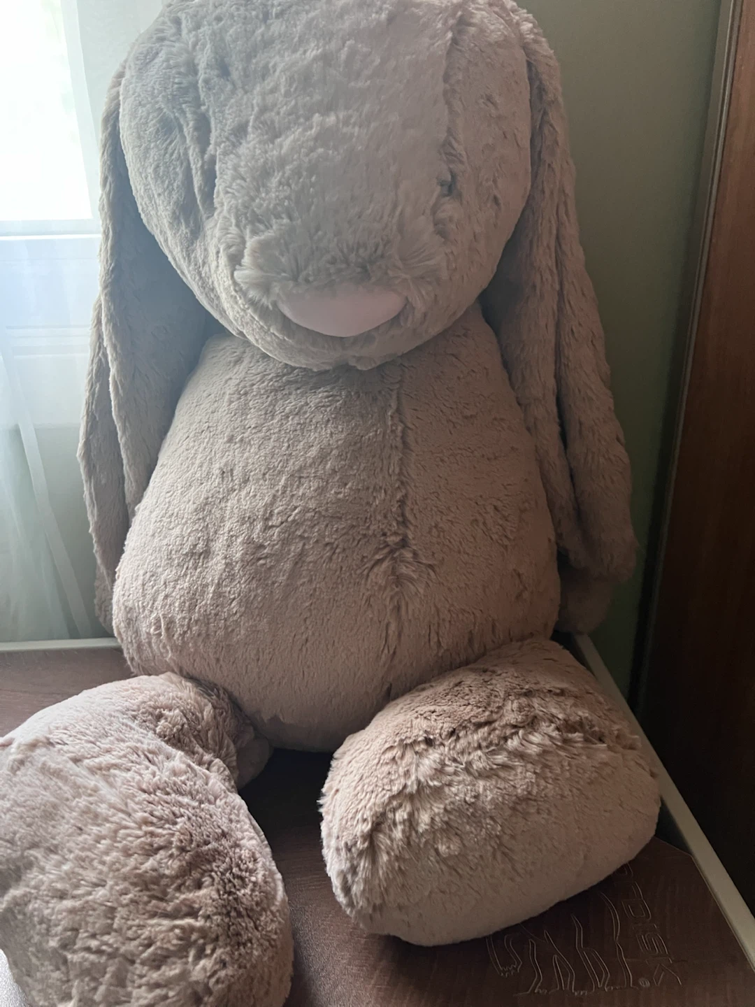 Jellycat bunny (huge)