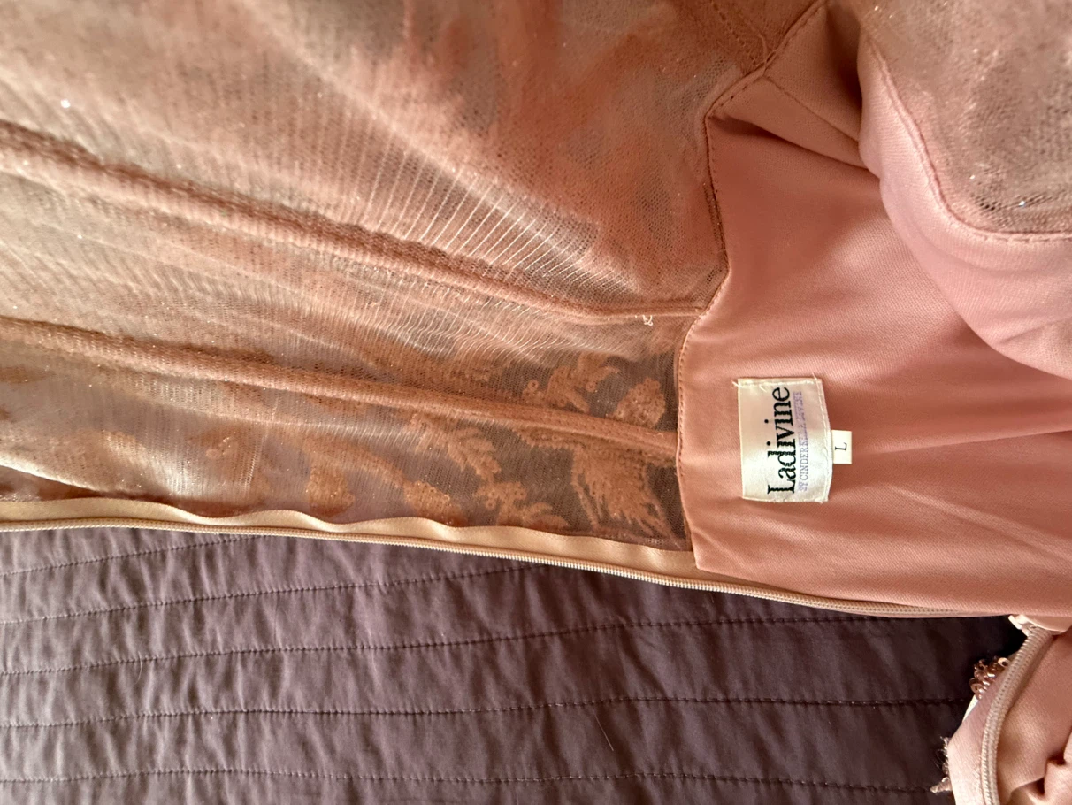 Ladivine Blush Pink Sequin Evening Gown - photo 5
