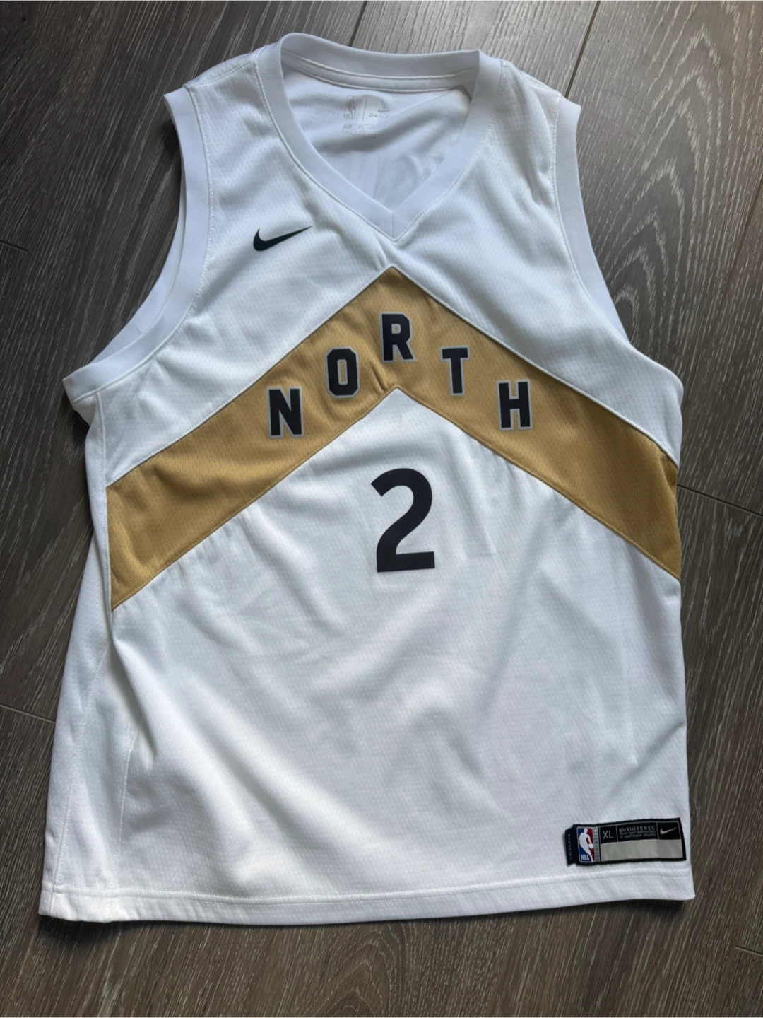 Nike Toronto Raptors Kawhi Leonard Jersey