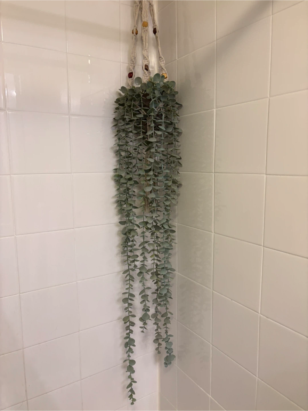 MOVING - Faux Plant in Macrame Plant Hanger - photo 3