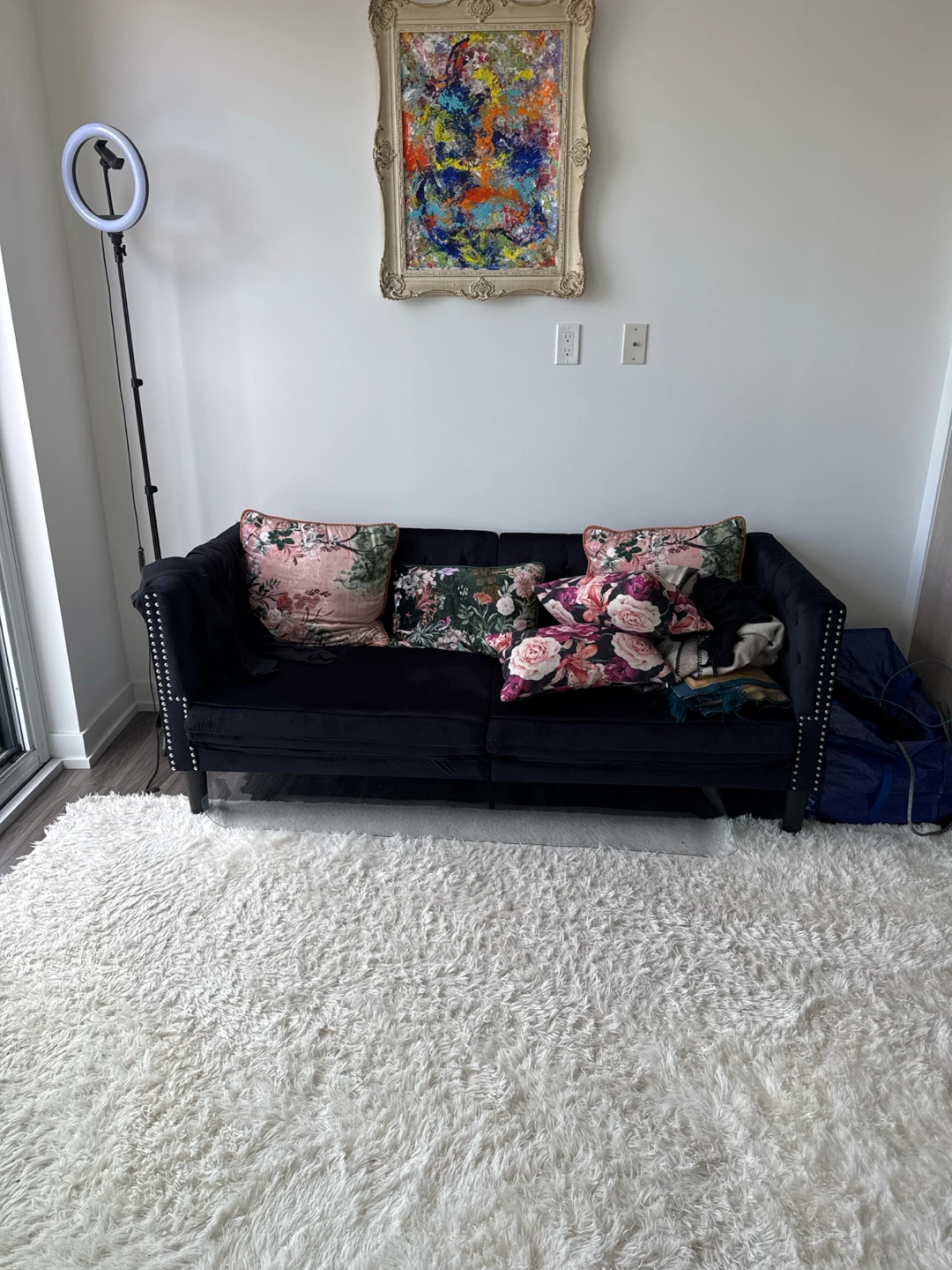 Black Velvet Tufted Sofa with Decorative Pillows