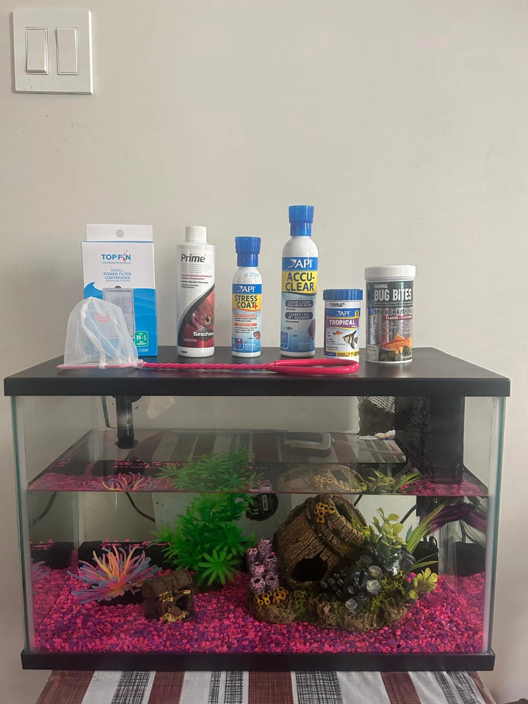 Complete 10 Gallon Fish Tank Setup