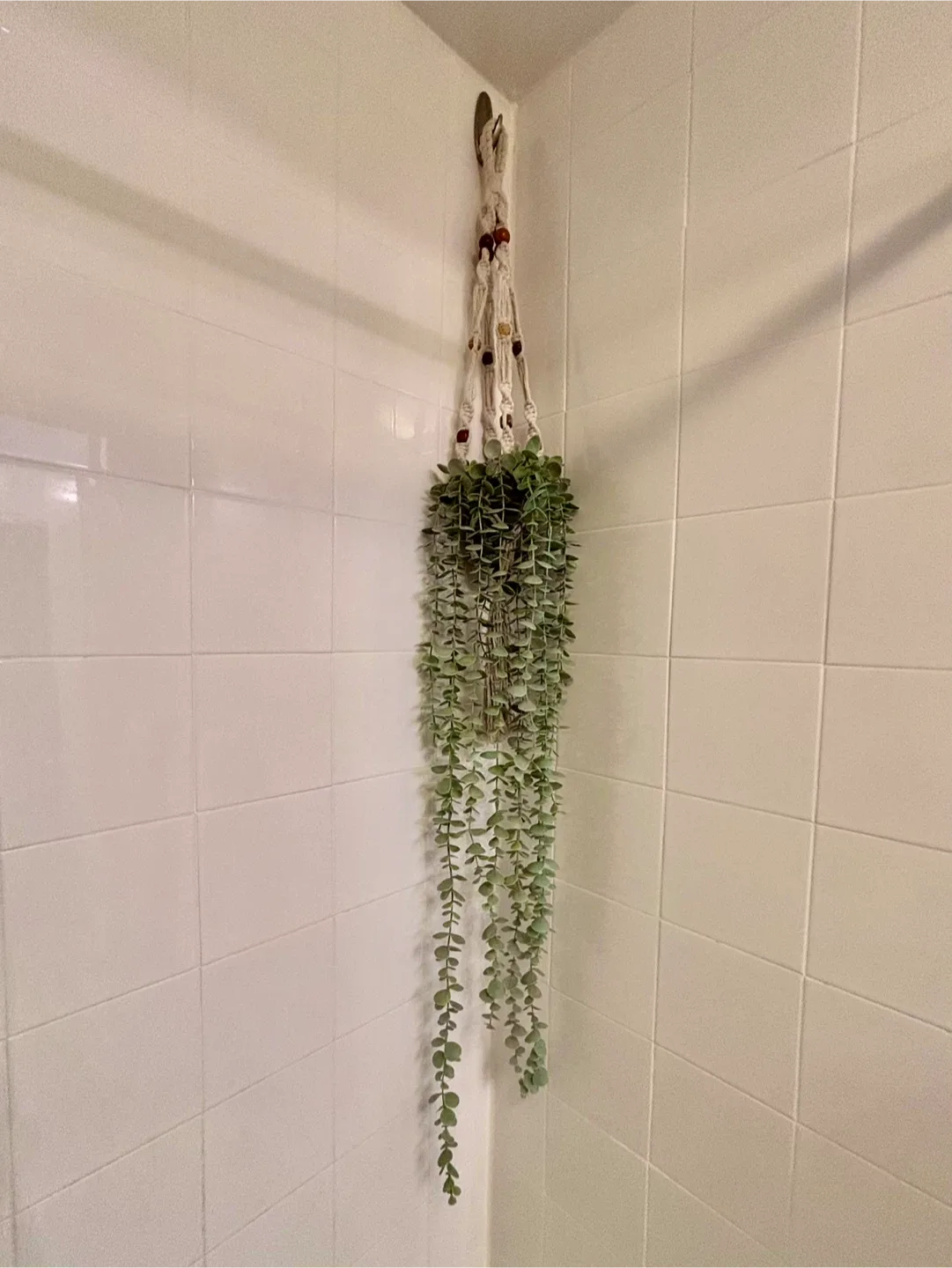 MOVING - Faux Plant in Macrame Plant Hanger