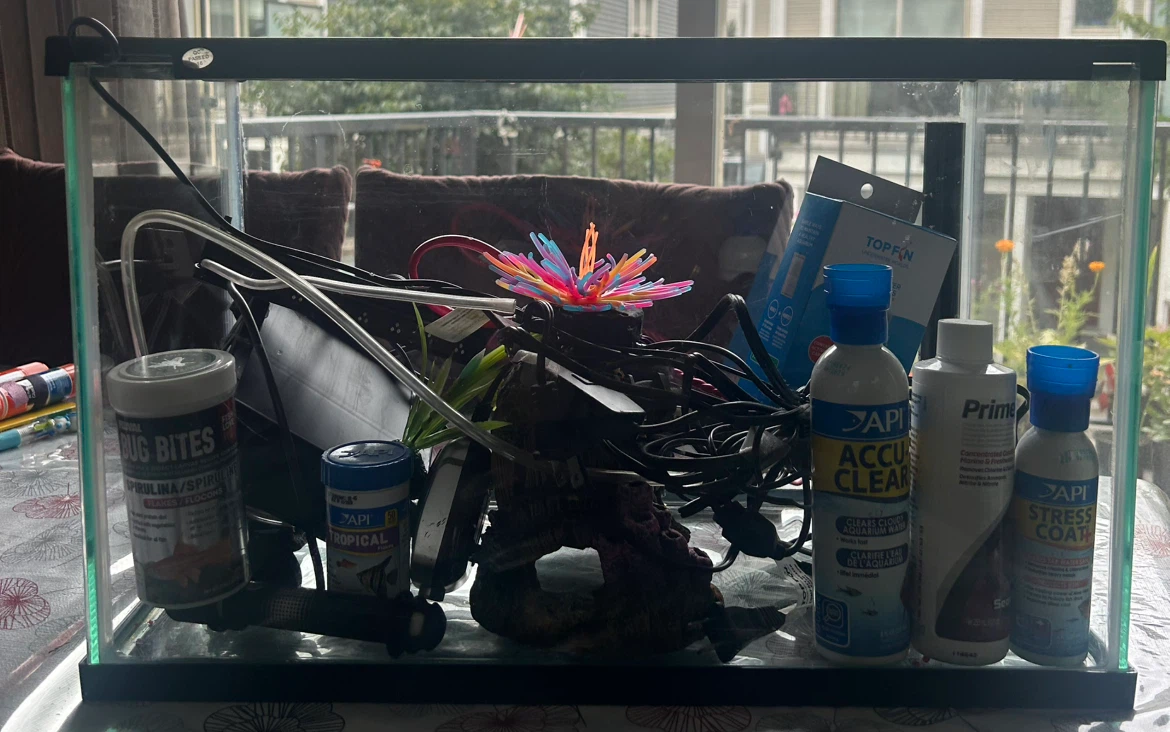 Complete 10 Gallon Fish Tank Setup - photo 2