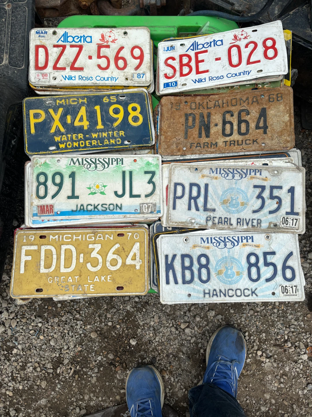 64 COLLECTIBLE LICENSE PLATES