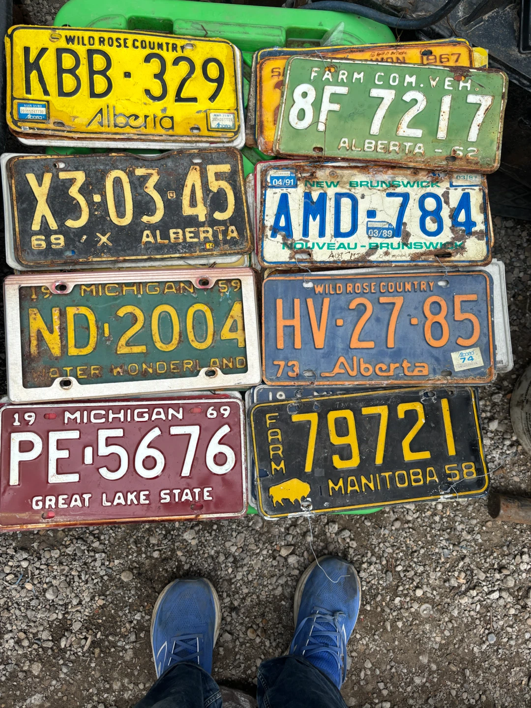 64 COLLECTIBLE LICENSE PLATES - photo 3