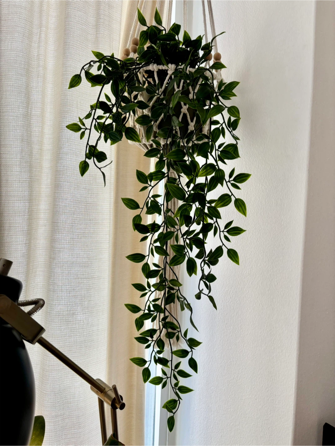MOVING - Faux Plant in Hanging Plant Macrame Plant Holder - photo 2