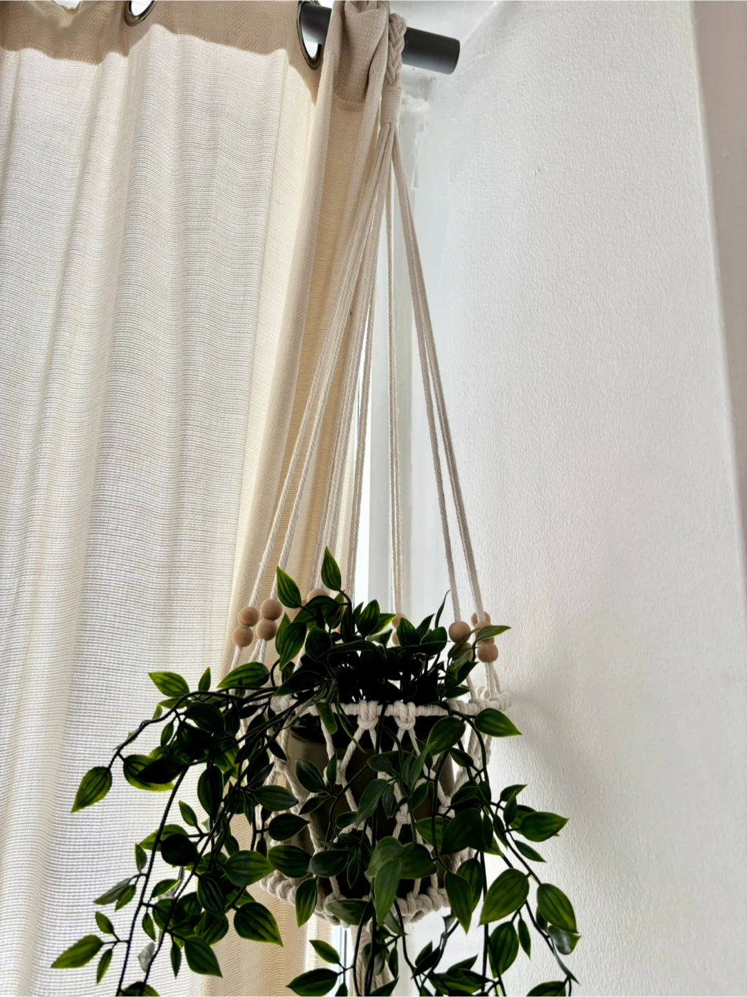MOVING - Faux Plant in Hanging Plant Macrame Plant Holder - photo 3