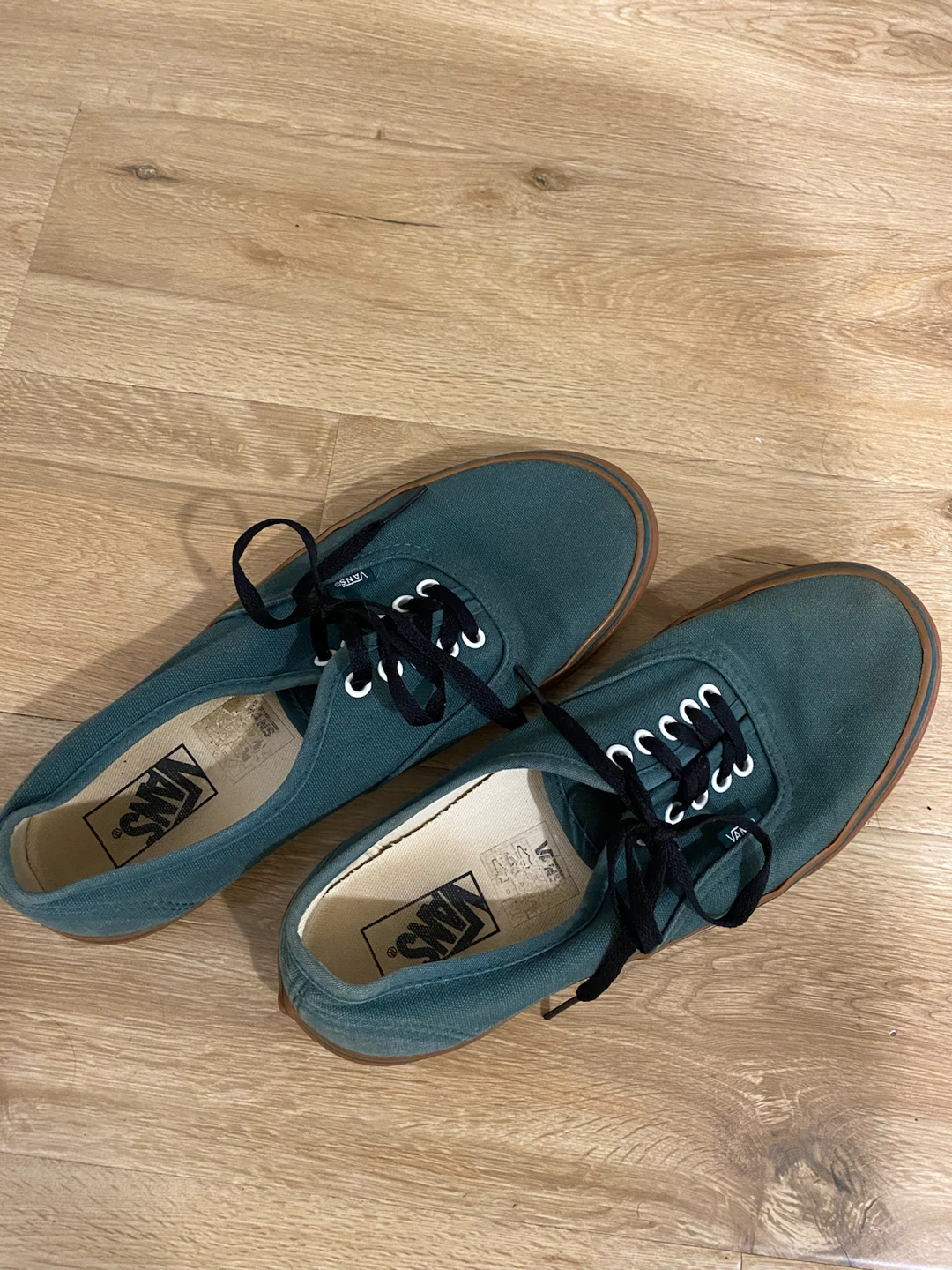 Vans Teal Canvas Sneakers