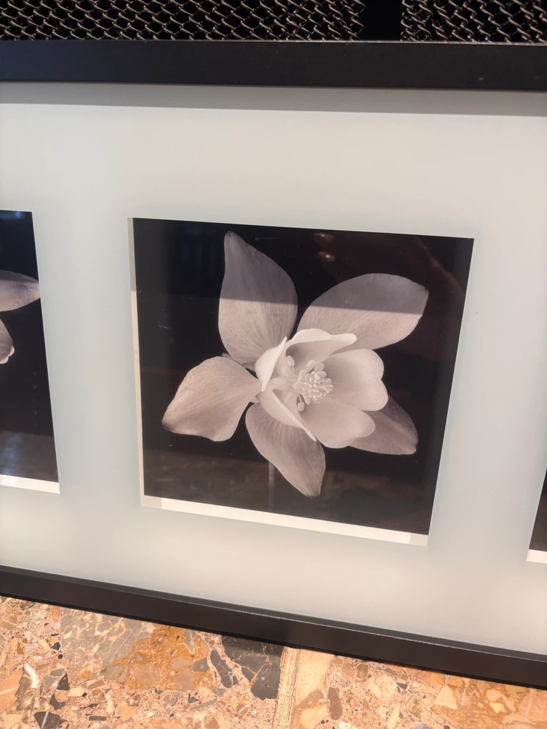 Black and White Triple Flower Framed Wall Art - photo 5
