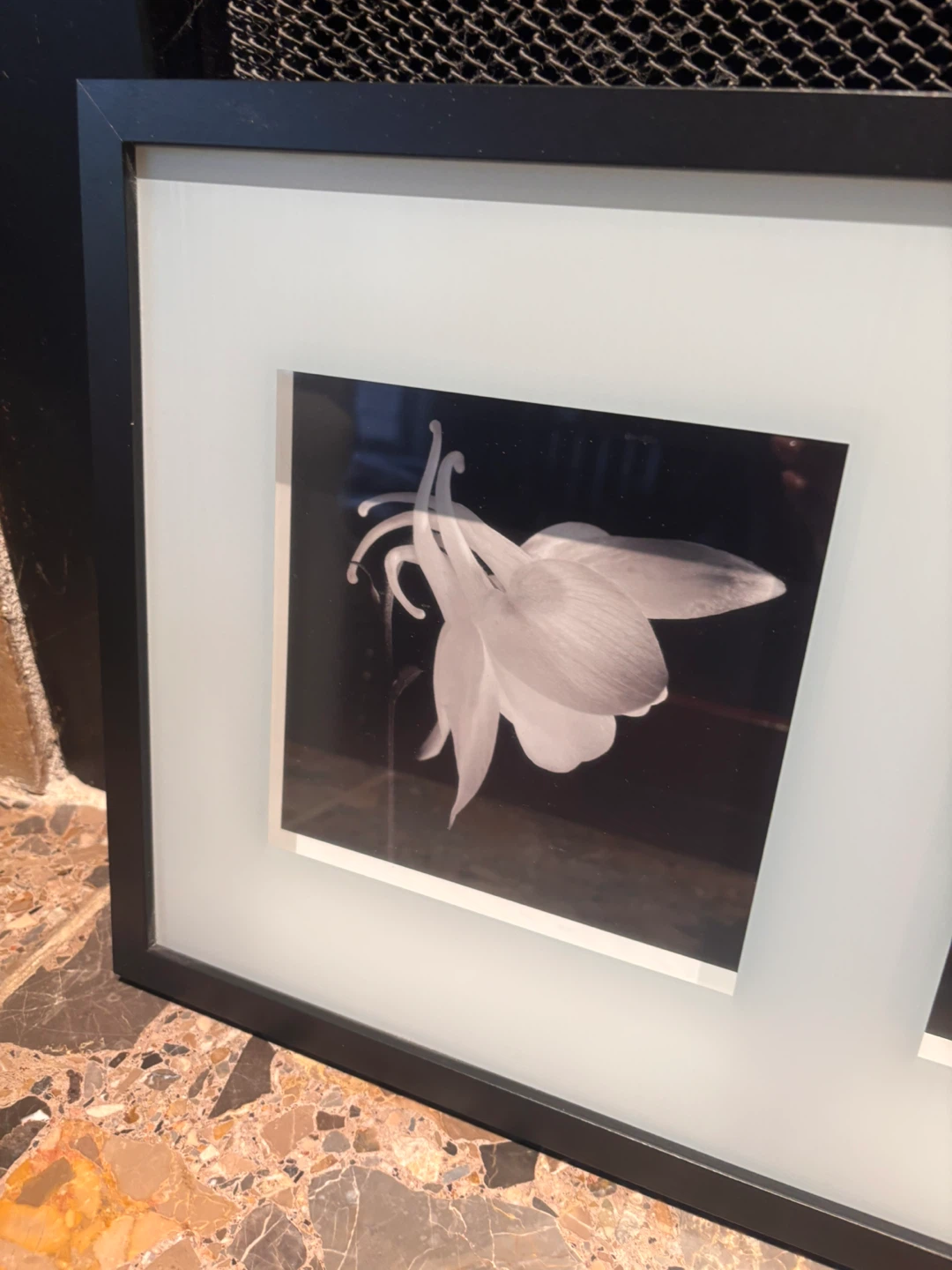 Black and White Triple Flower Framed Wall Art - photo 4