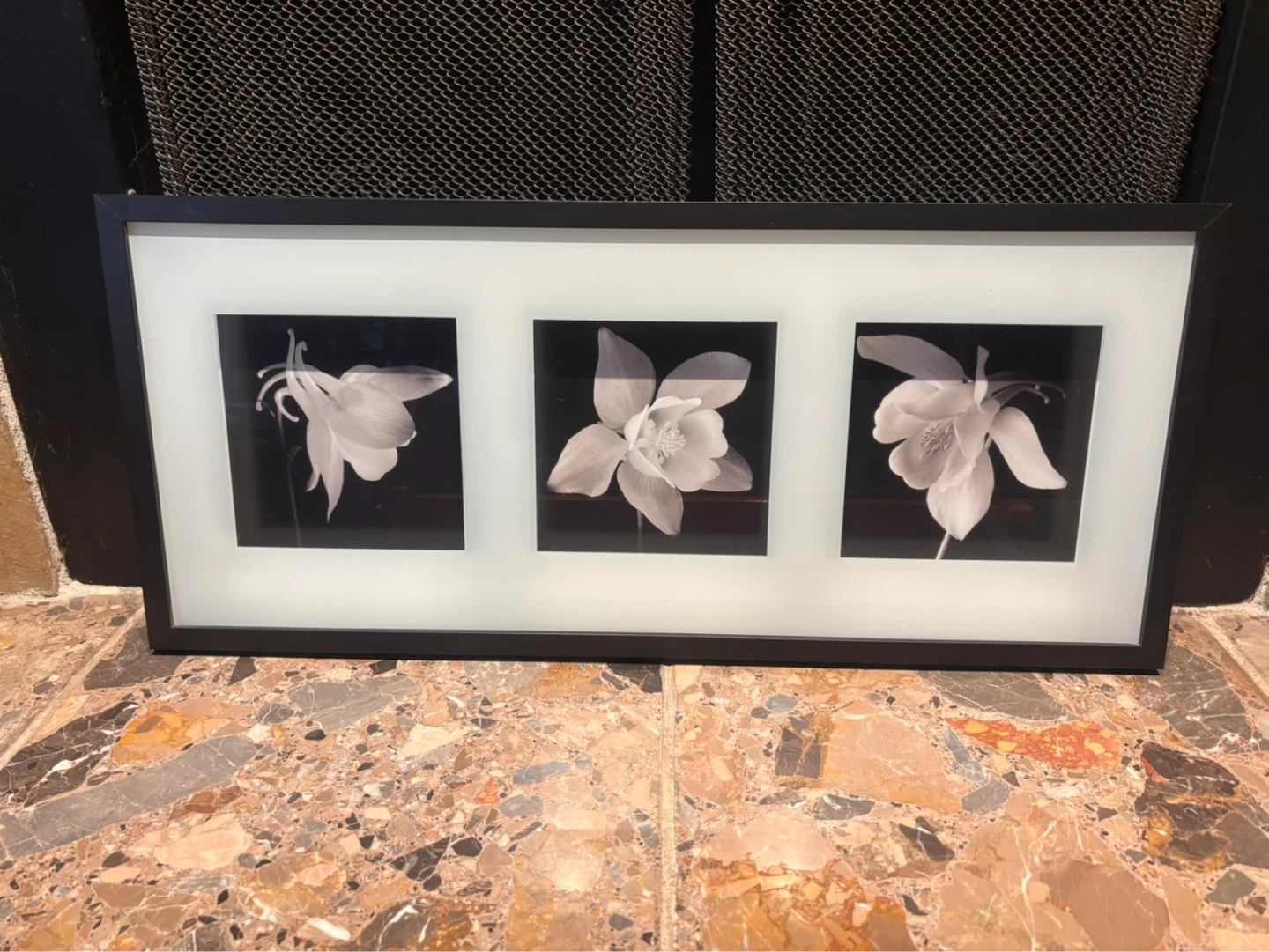 Black and White Triple Flower Framed Wall Art