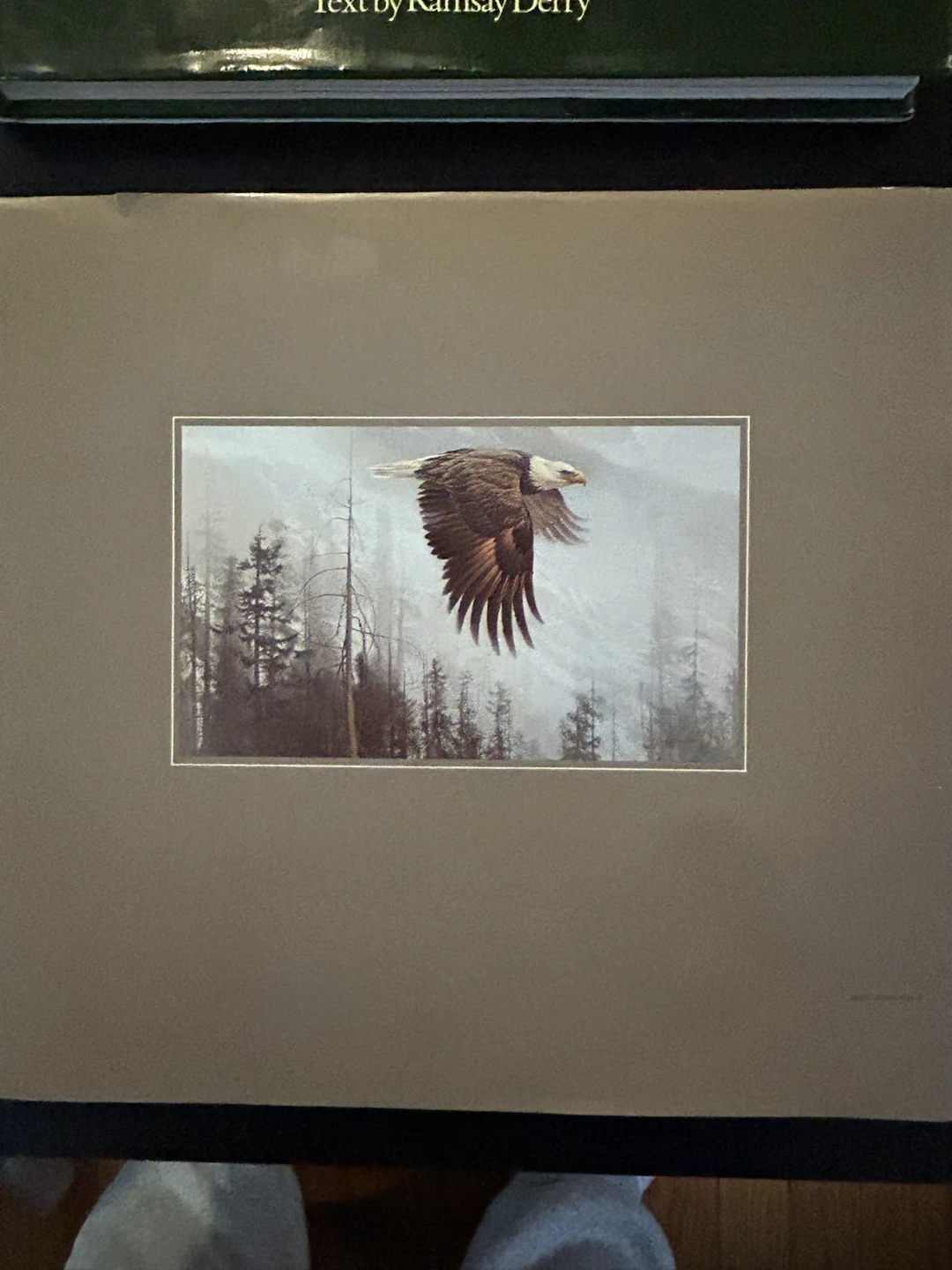 The World of Robert Bateman & The Art of Robert Bateman Books - photo 5