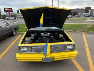 1981 EL CAMINO - photo 2