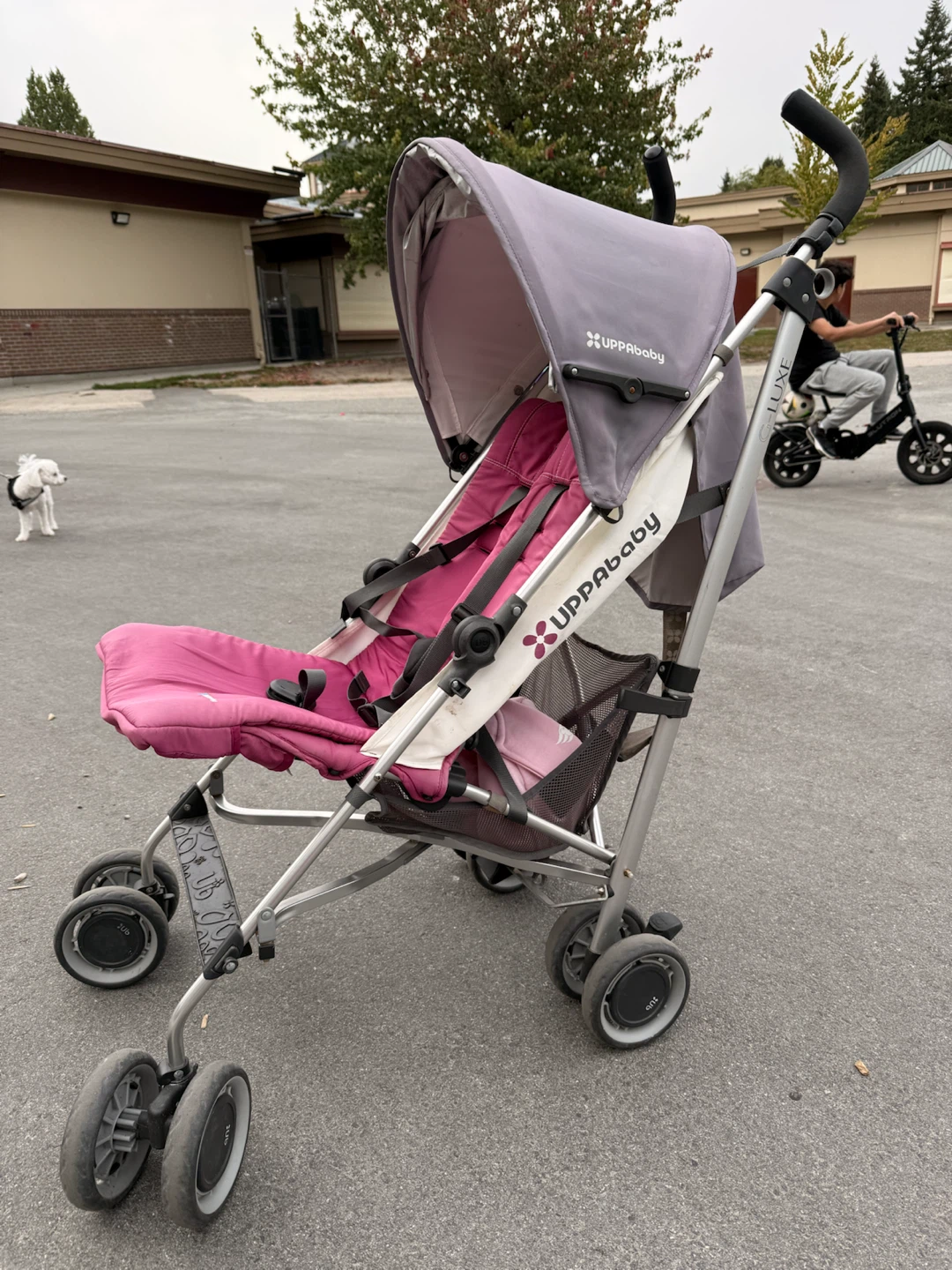 UPPAbaby Cruz Stroller - photo 3