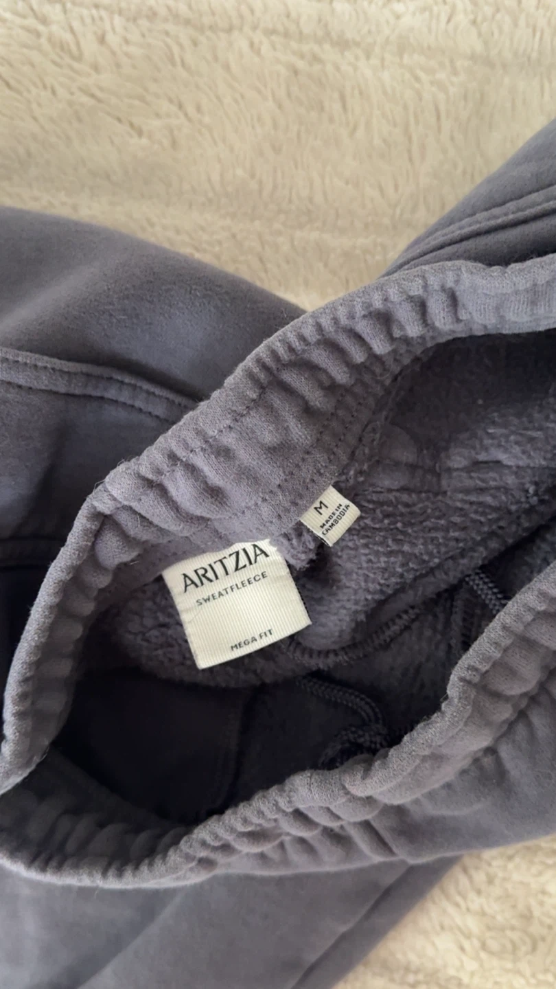 Aritzia Terry Sweatfleece Mega Cargo - photo 5