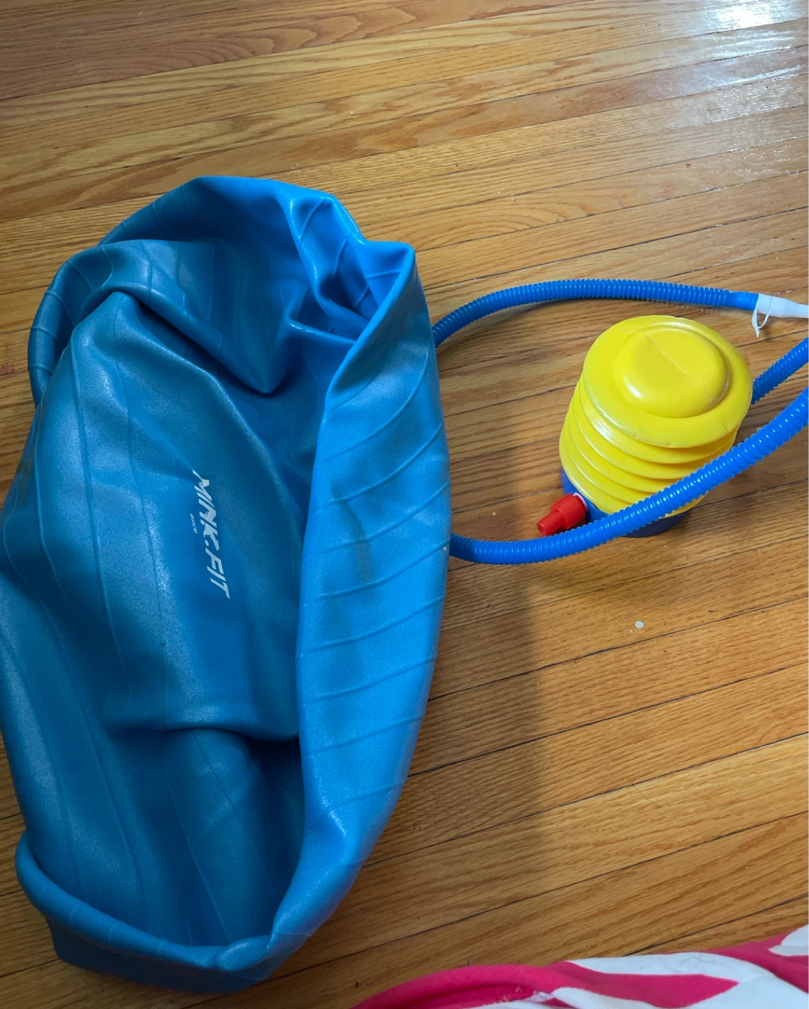 Mink-Fit 65cm Exercise Ball with Pump