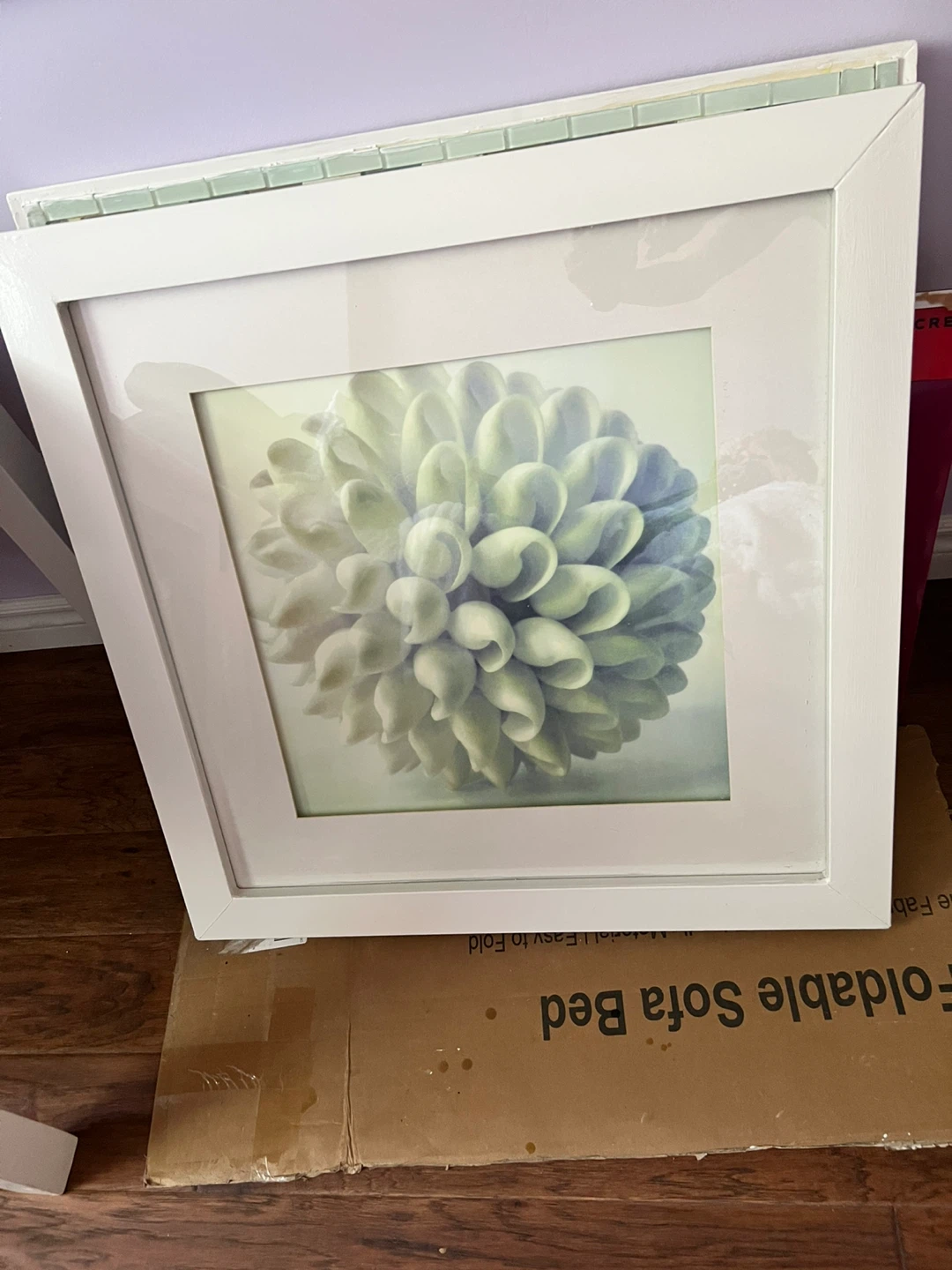 White Framed Botanical Art Print