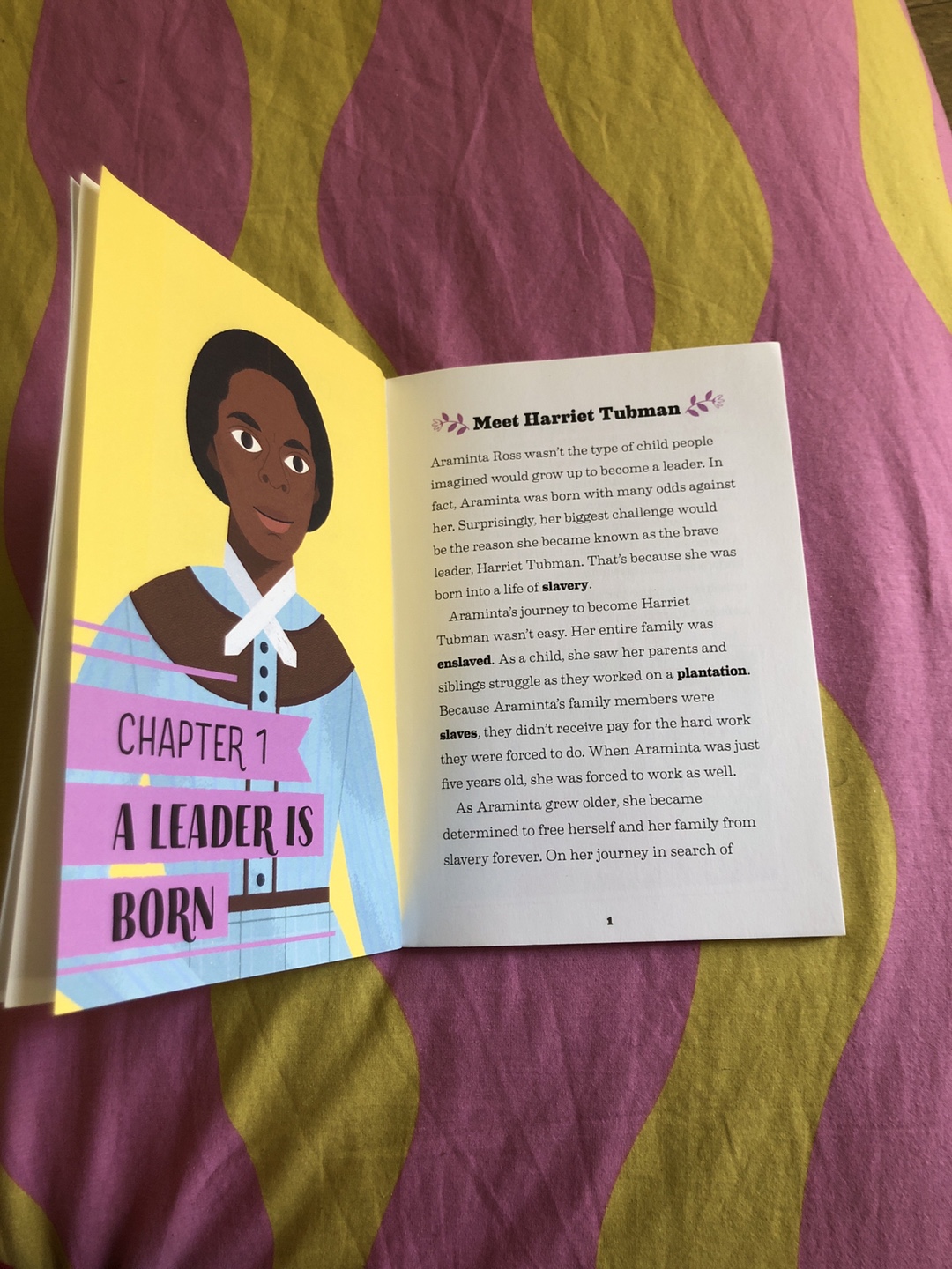 The Story of Harriet Tubman A Biography Book for New Readers - photo 3