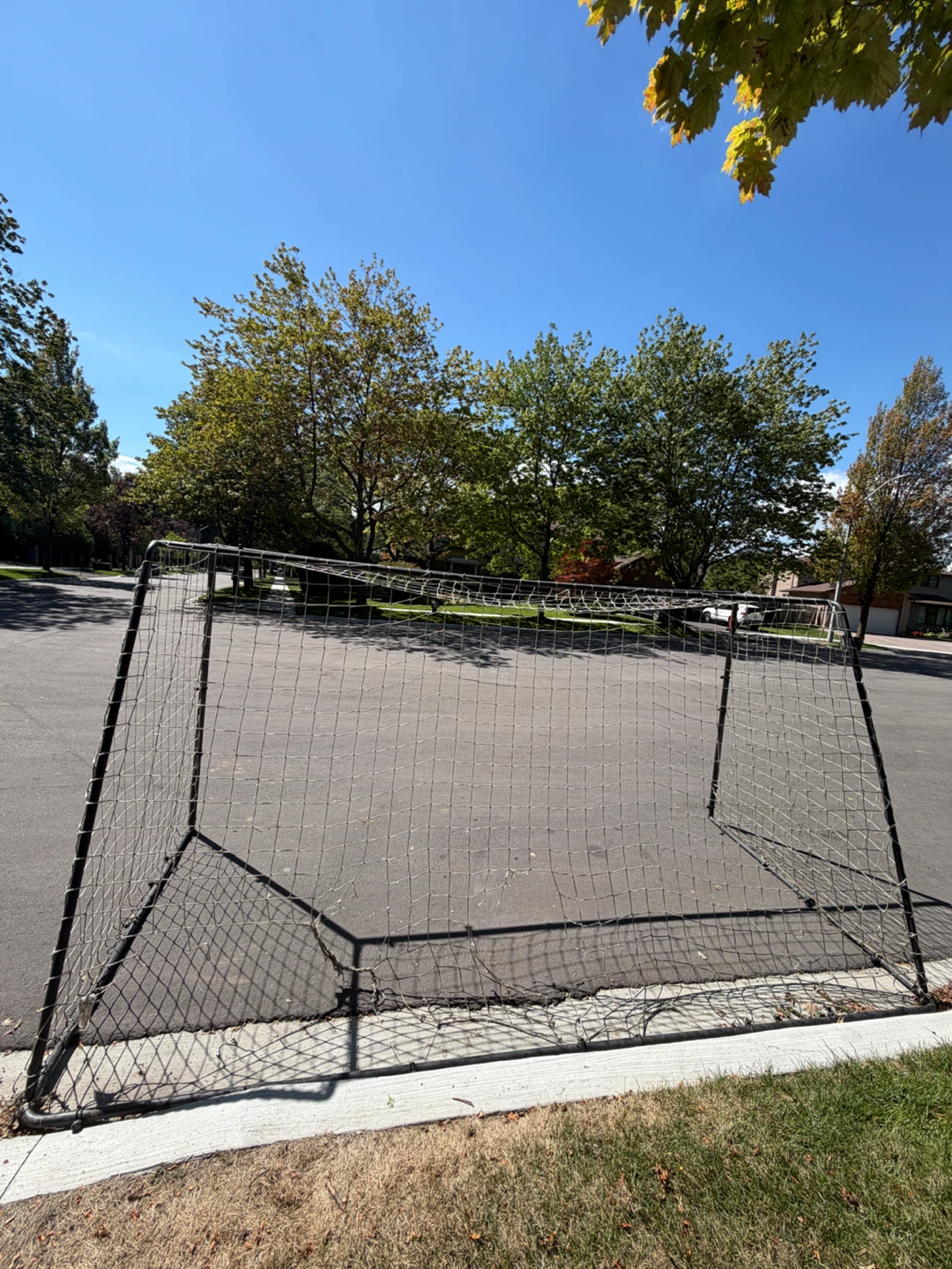 Awesome soccer net. FORZA 12 x 6 Steel42 goal - photo 2