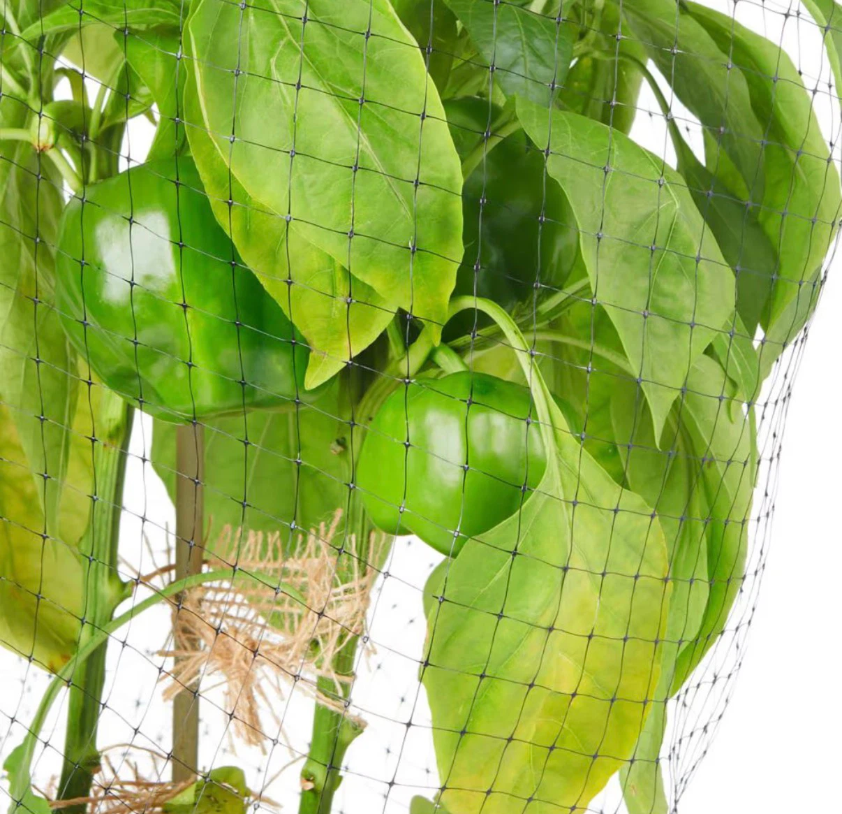 FREE Black Garden Netting