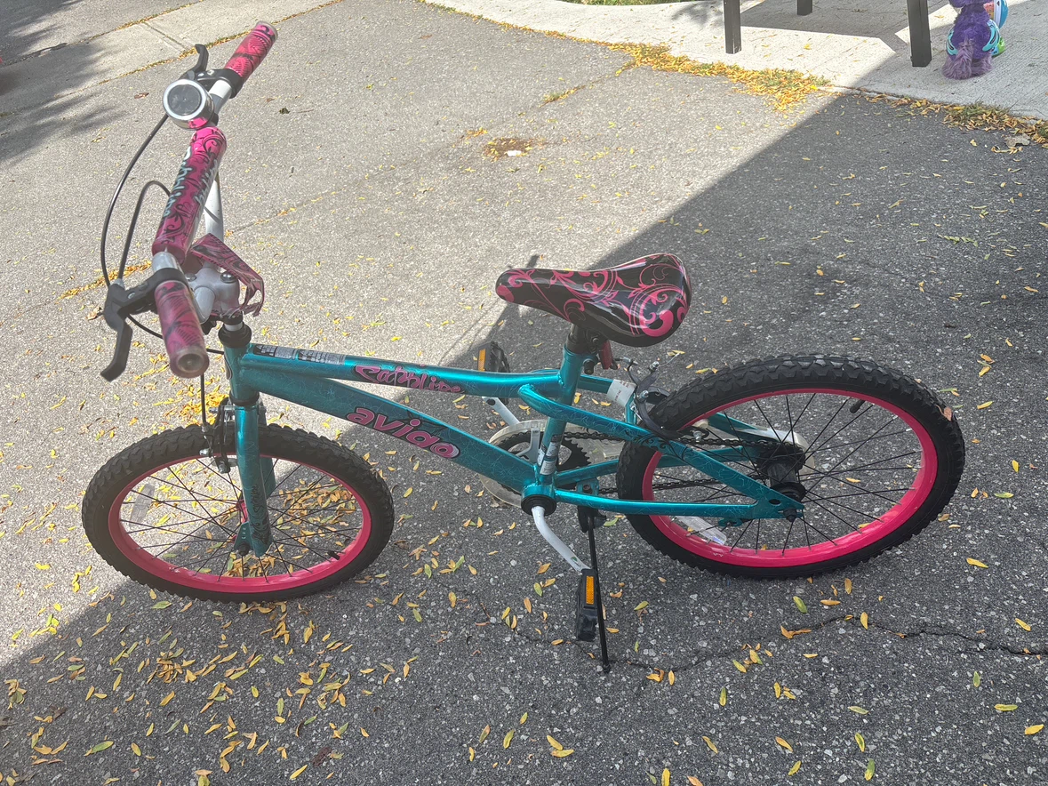 Avigo Teal & Pink Girls Bike