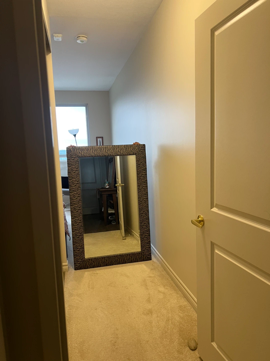 🦓 Large Full-Length Zebra Print Mirror