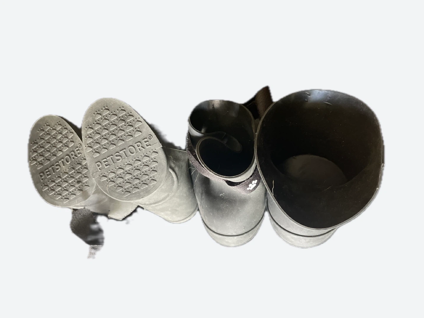 Petstore medium size Dog Boots