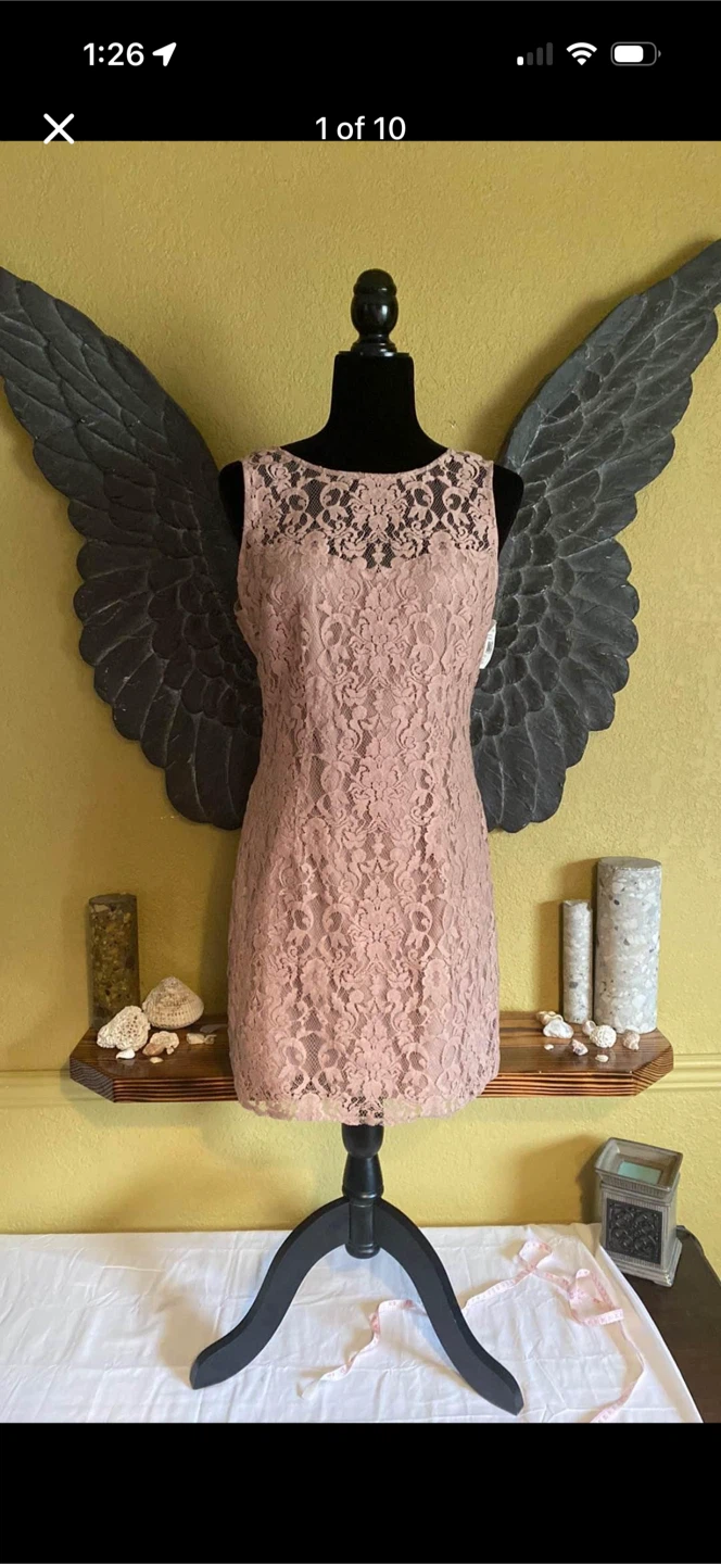 BB Dakota New Nude Lace Dress