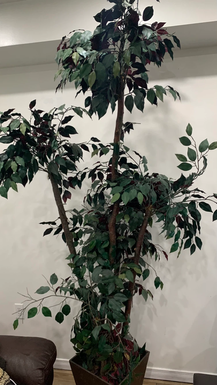Artificial  Tree in Square Planter
