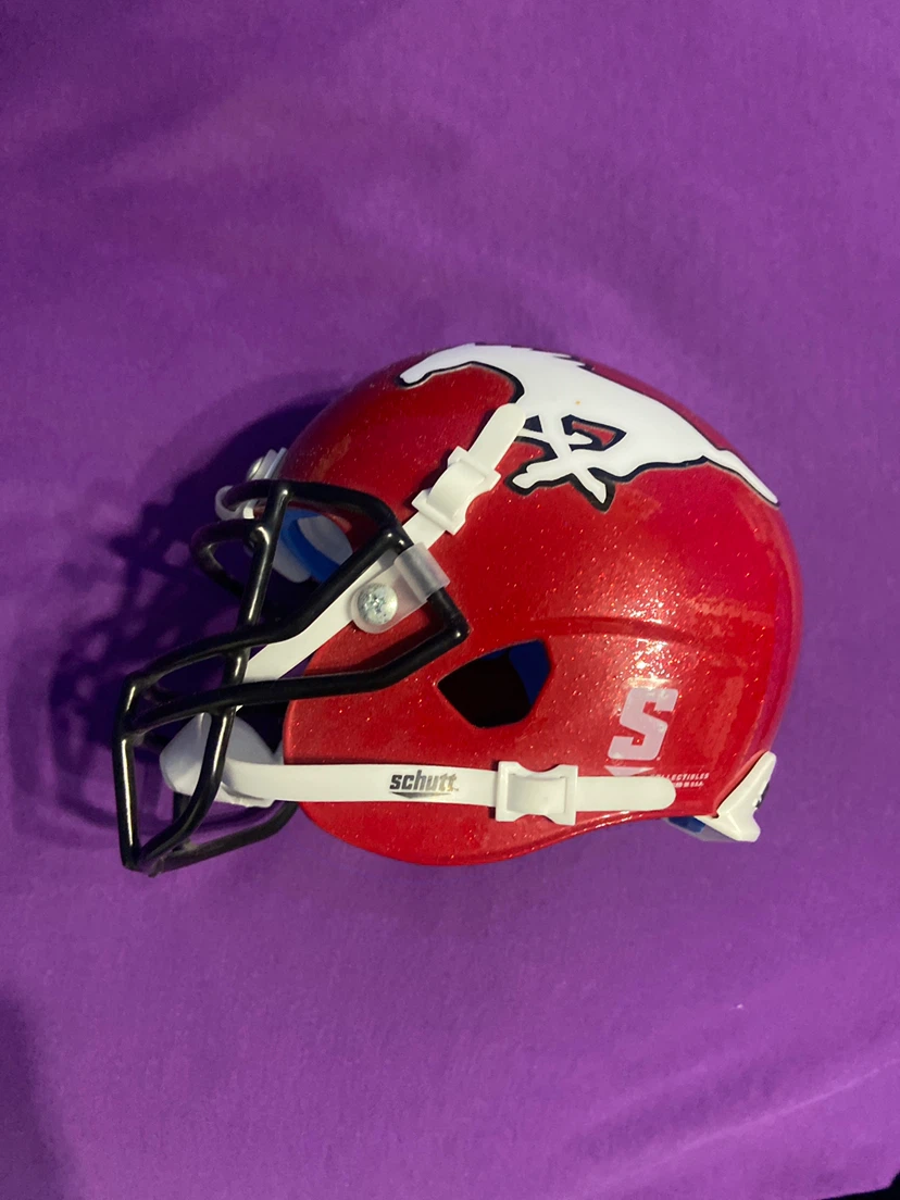 Stampeders  mini helmet