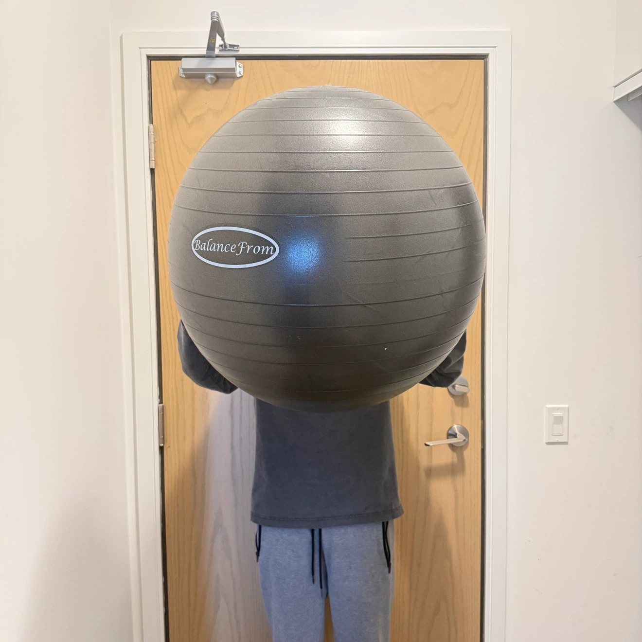 26 Inch Yoga / Birthing / Exercise Ball