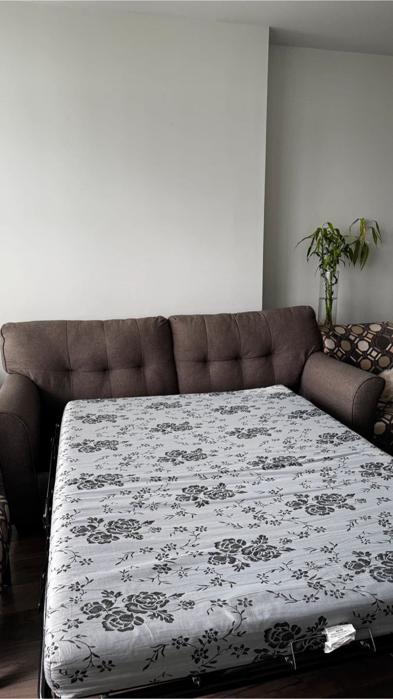 Ashley Furniture Sofa Bed