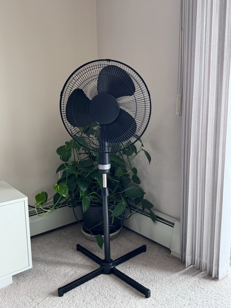 Black Standing Pedestal Fan