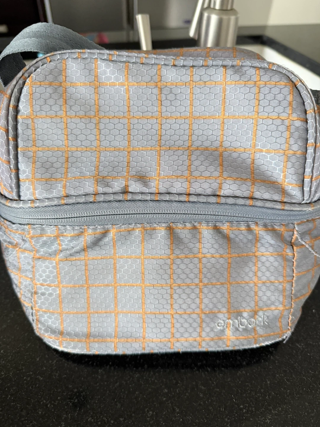 Embark Insulated Lunch Bag