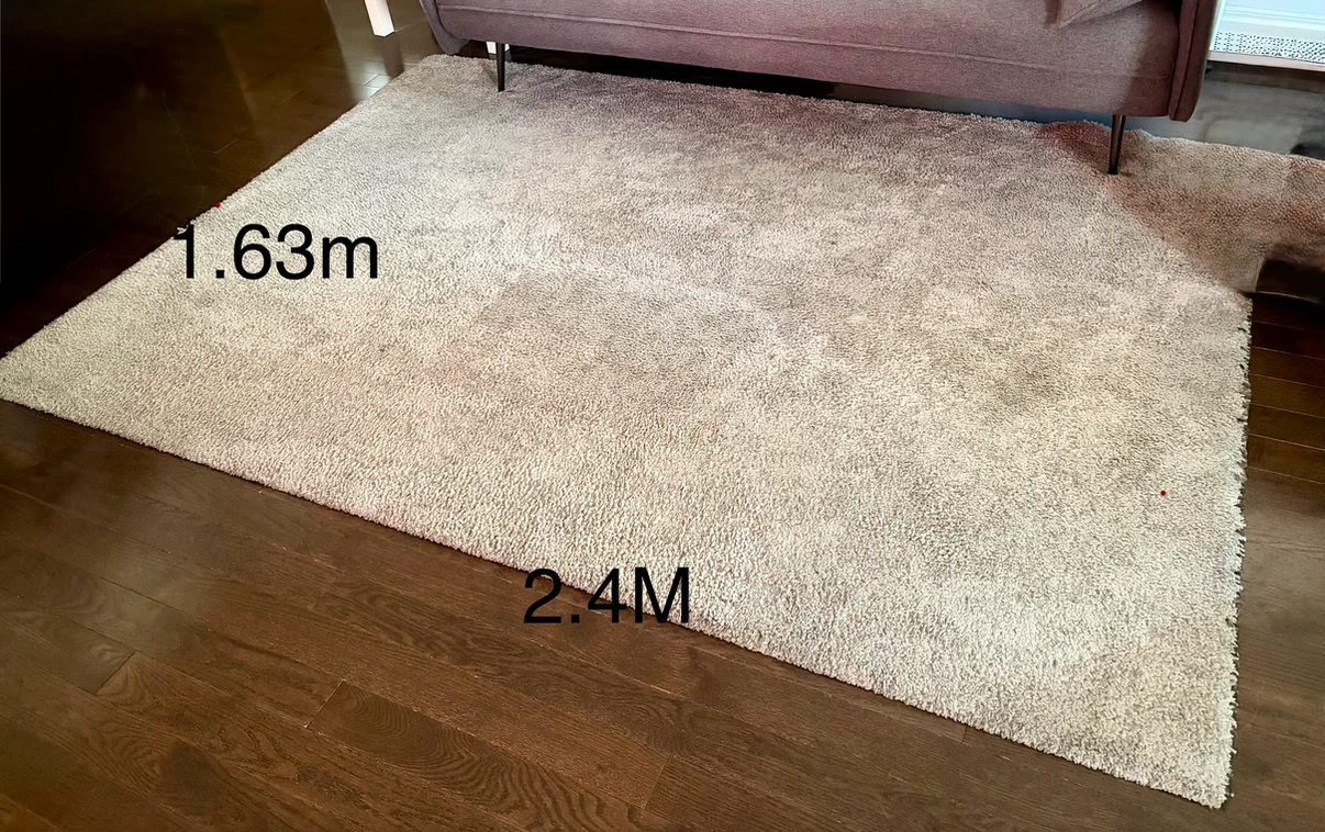 Shag Rug - Light Grey
