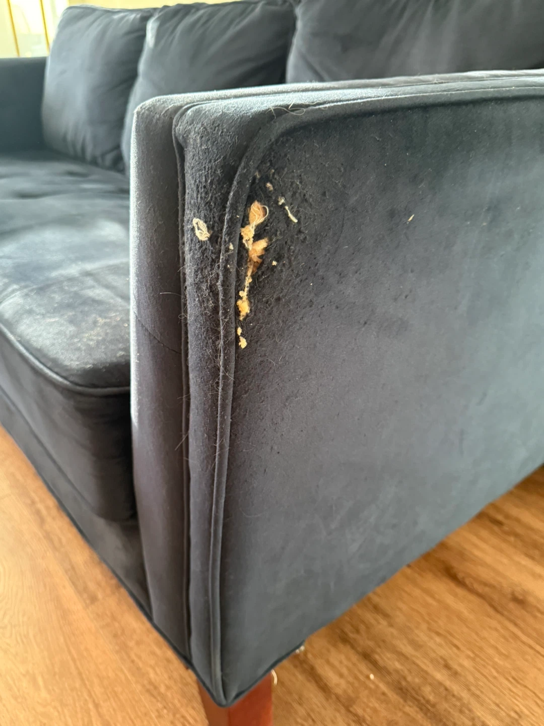 Dark Blue Velvet Sofa - photo 2