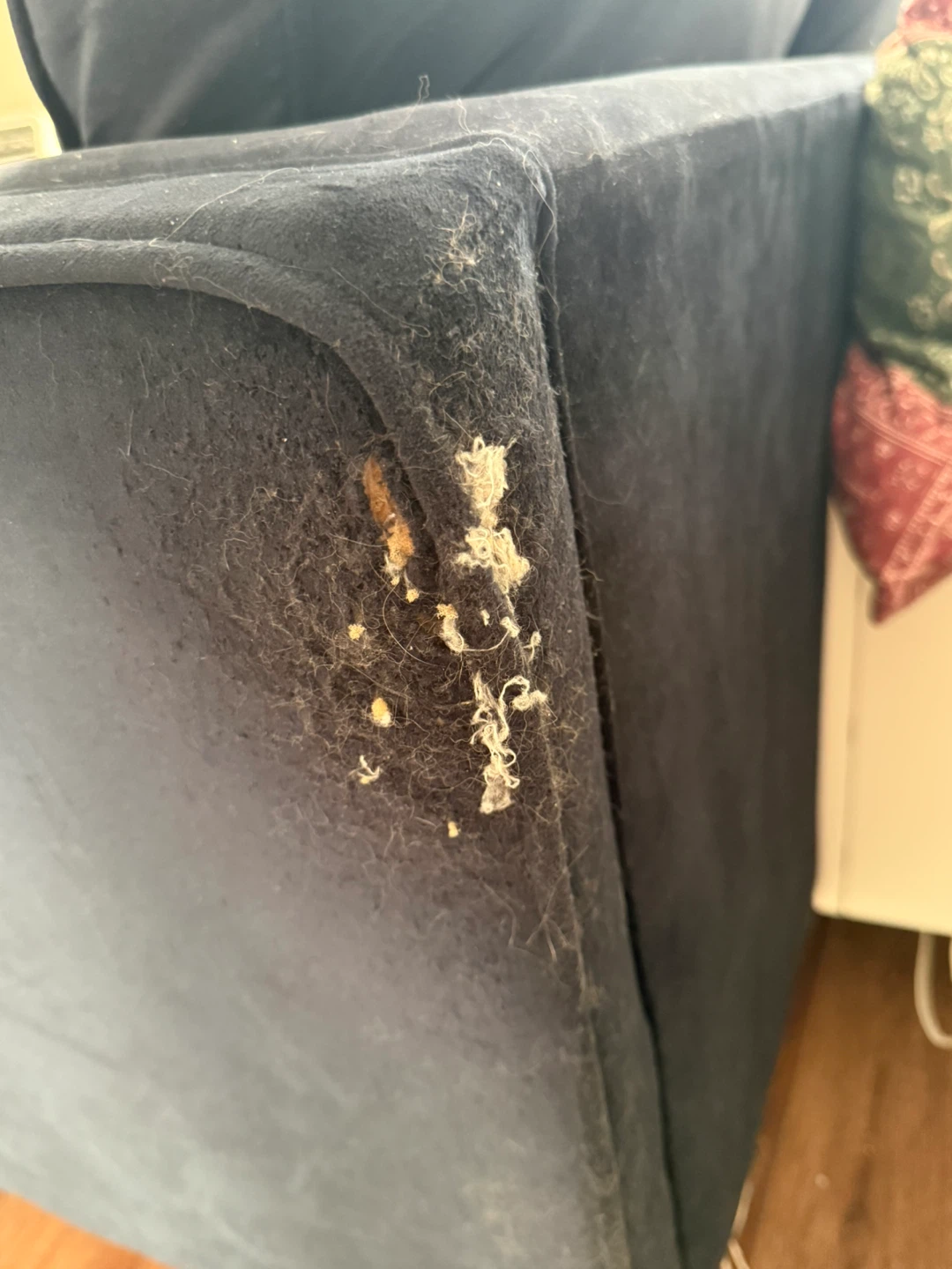 Dark Blue Velvet Sofa - photo 3