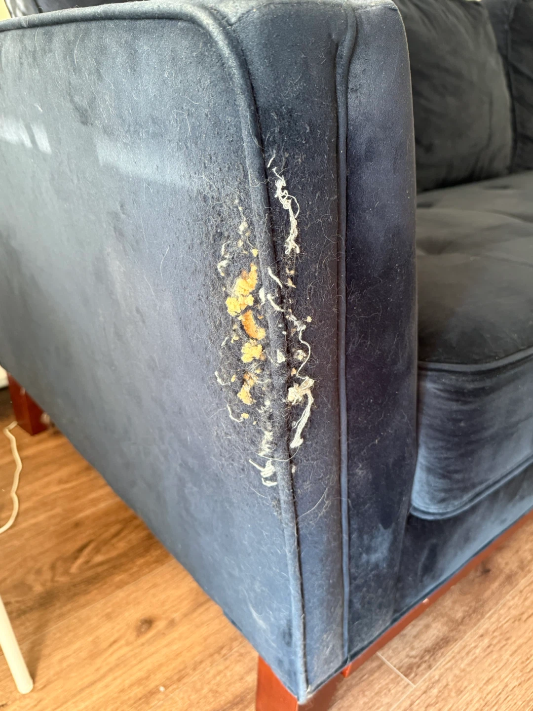 Dark Blue Velvet Sofa - photo 4