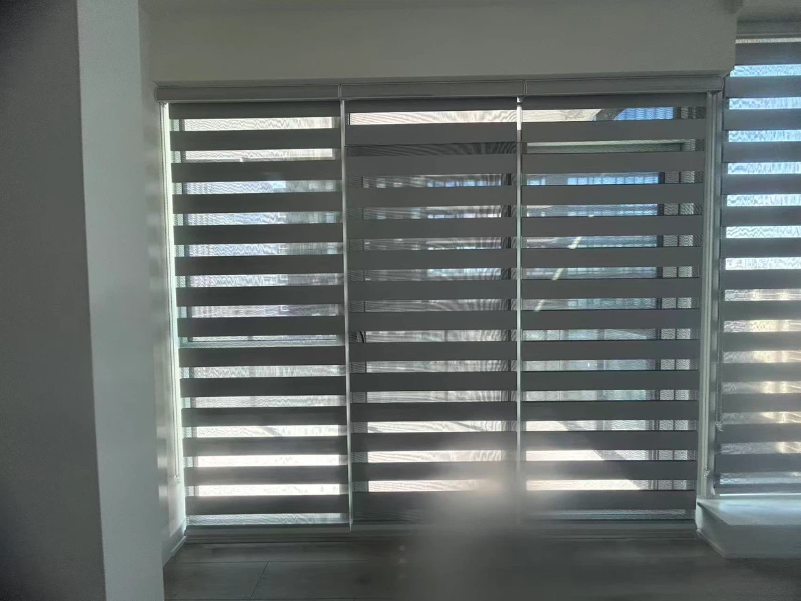 Zebra Blinds for Windows - photo 2