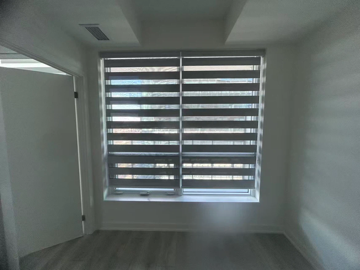 Zebra Blinds for Windows - photo 3