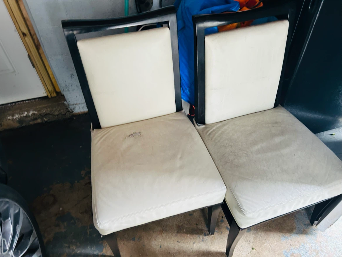 Two Black and White Dining Chairs