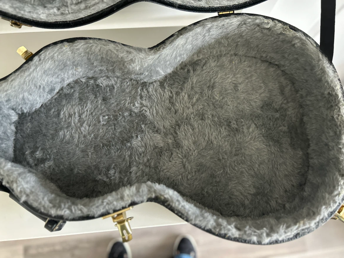 Hard Shell Guitar Case - photo 2